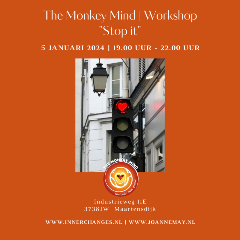 Stop it een monkey mind workshop