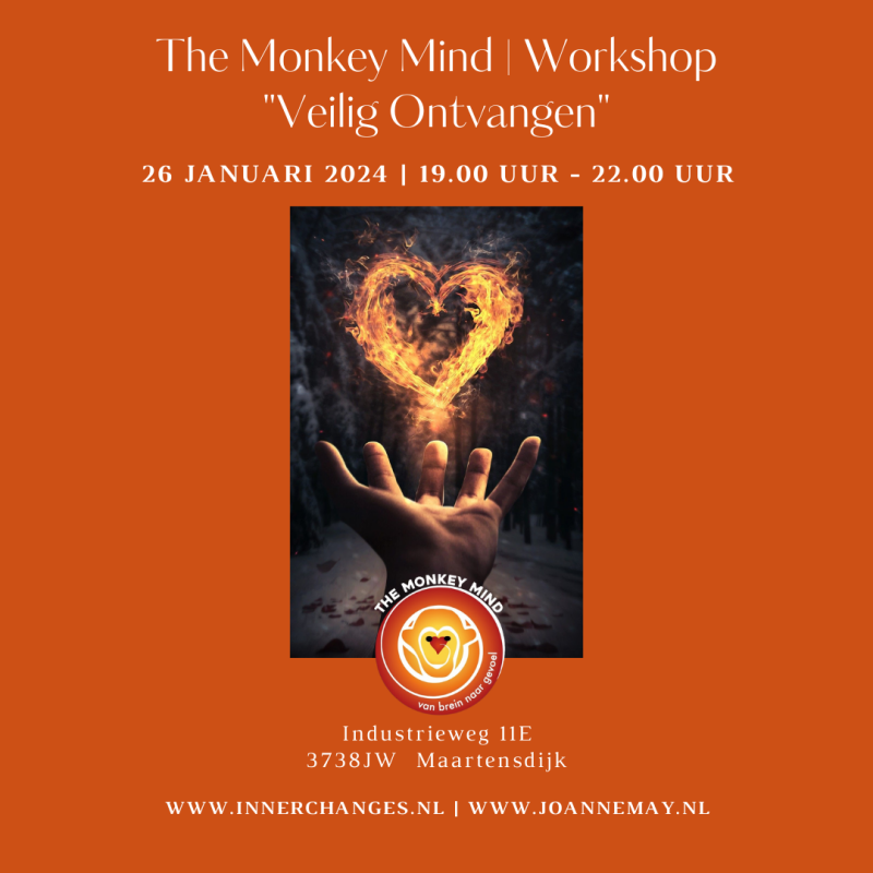 veilig ontvangen een monkey mind workshop