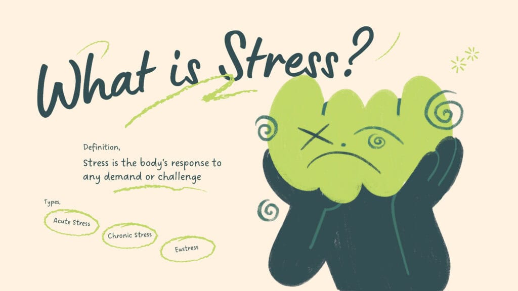 3.8 - Stress (en cmft) - Wanneer stress om verbinding vraagt..