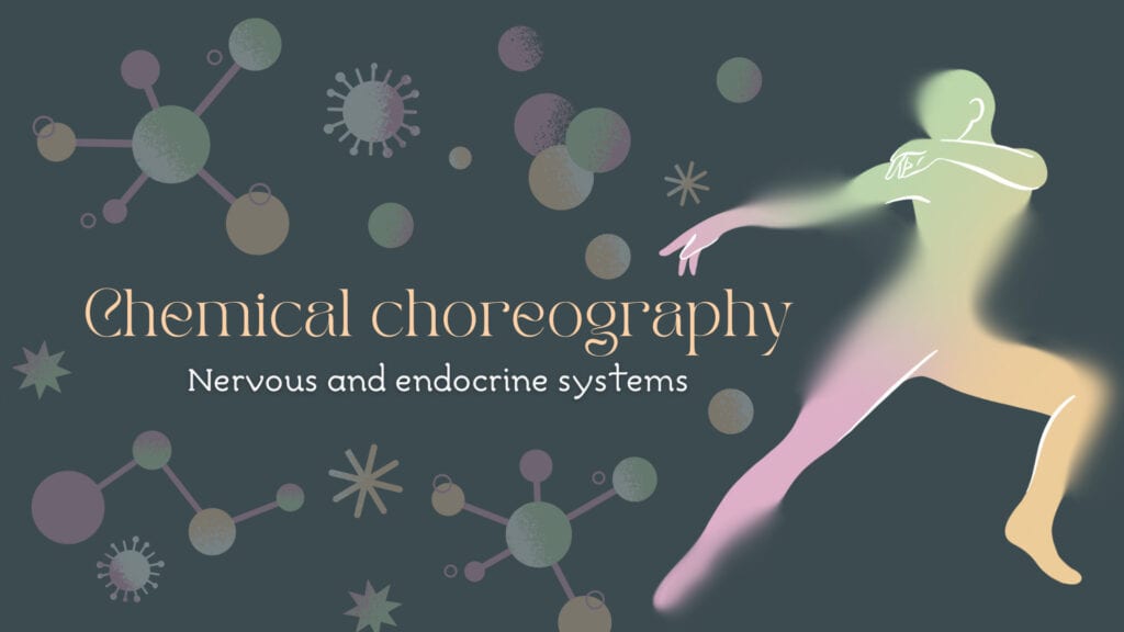 3.1 Spiegelneuronen en CMFT – helen via verbinding