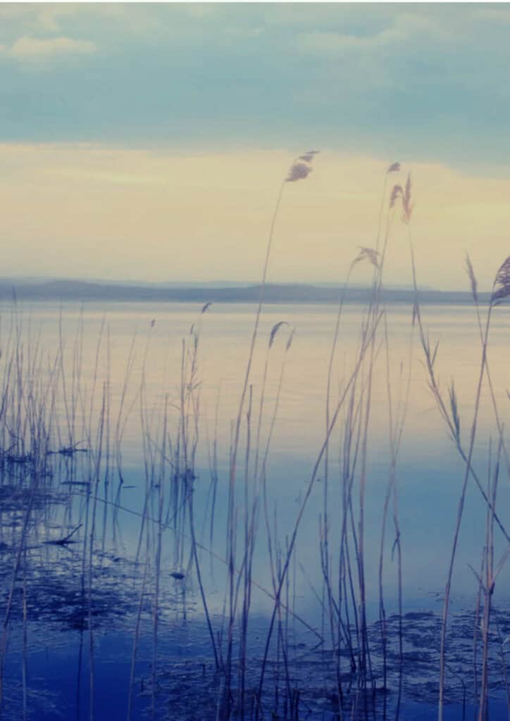 1.2 Gronding (en CMFT)