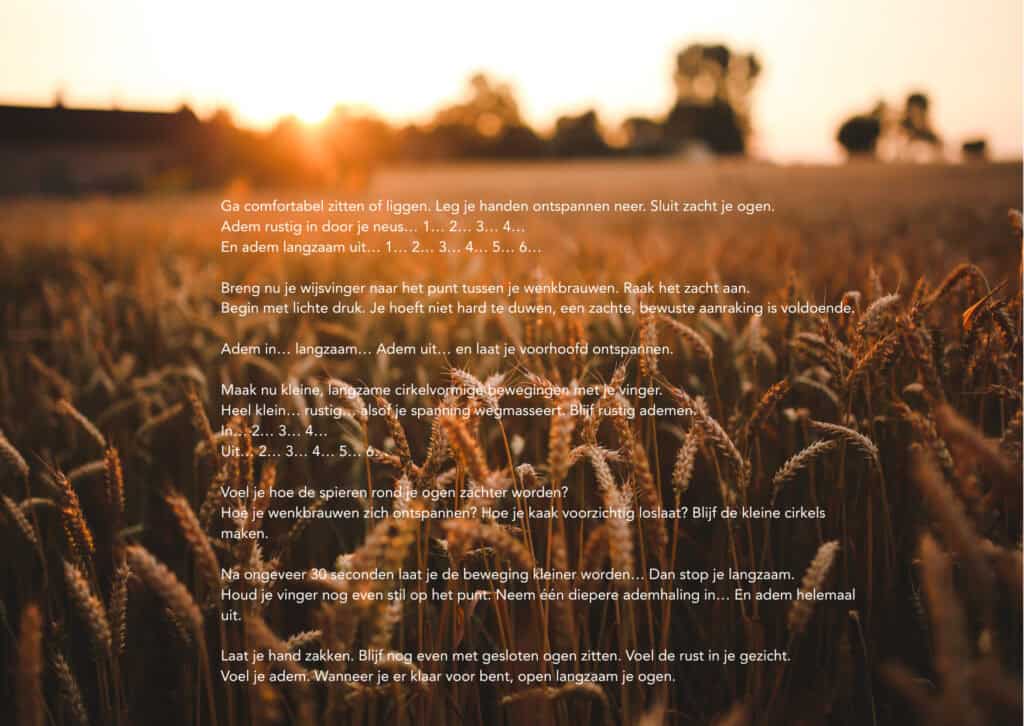 Thuiskomen in je lichaam 