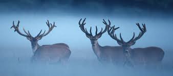 De spirit van de drum