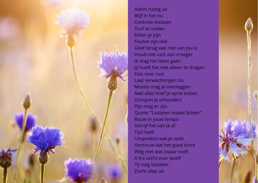 Thuiskomen in je lichaam 