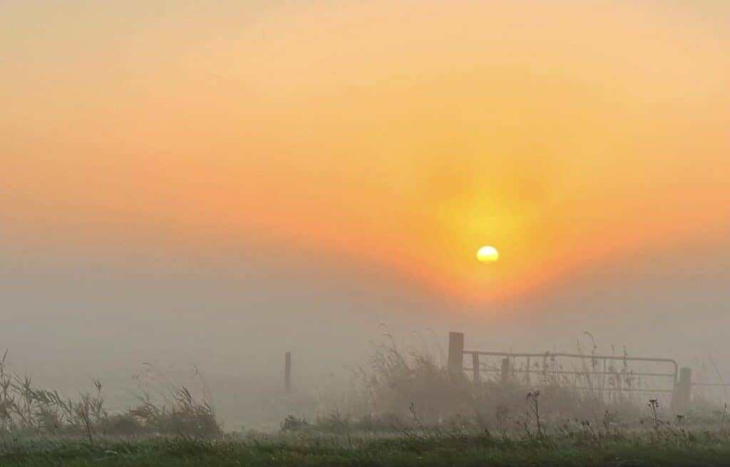 De kracht van vasten 